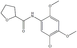 N-(5-chloro-2,4-dimethoxyphenyl)tetrahydrofuran-2-carboxamide Structure