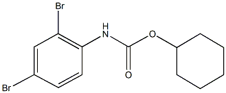 cyclohexyl 2,4-dibromophenylcarbamate 구조식 이미지