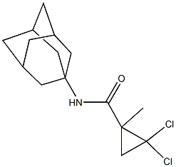 N-(1-adamantyl)-2,2-dichloro-1-methylcyclopropanecarboxamide Structure