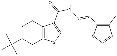 6-tert-butyl-N'-[(3-methyl-2-thienyl)methylene]-4,5,6,7-tetrahydro-1-benzothiophene-3-carbohydrazide 구조식 이미지