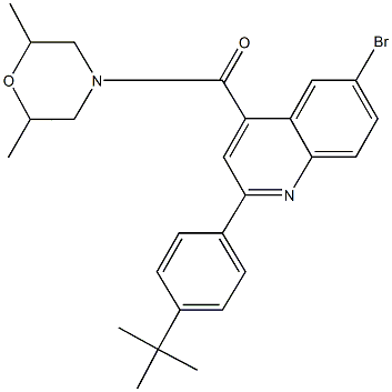 6-bromo-2-(4-tert-butylphenyl)-4-[(2,6-dimethylmorpholin-4-yl)carbonyl]quinoline 구조식 이미지