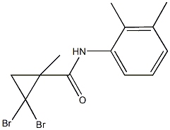 2,2-dibromo-N-(2,3-dimethylphenyl)-1-methylcyclopropanecarboxamide Structure