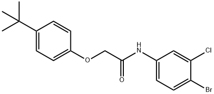 N-(4-bromo-3-chlorophenyl)-2-(4-tert-butylphenoxy)acetamide 구조식 이미지