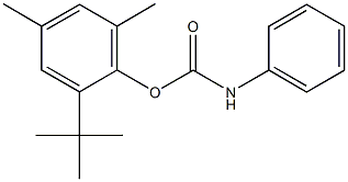 2-tert-butyl-4,6-dimethylphenyl phenylcarbamate Structure