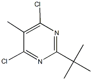 2-tert-butyl-4,6-dichloro-5-methylpyrimidine 구조식 이미지