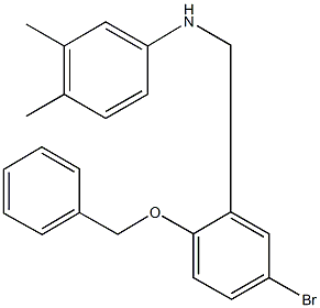 N-[2-(benzyloxy)-5-bromobenzyl]-N-(3,4-dimethylphenyl)amine 구조식 이미지