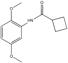 N-(2,5-dimethoxyphenyl)cyclobutanecarboxamide 구조식 이미지