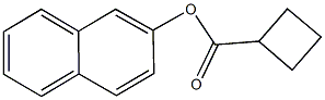 2-naphthyl cyclobutanecarboxylate Structure