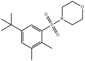 4-[(5-tert-butyl-2,3-dimethylphenyl)sulfonyl]morpholine Structure