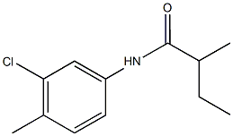 N-(3-chloro-4-methylphenyl)-2-methylbutanamide Structure