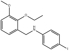 N-(2-ethoxy-3-methoxybenzyl)-N-(4-iodophenyl)amine 구조식 이미지