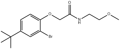 2-(2-bromo-4-tert-butylphenoxy)-N-(2-methoxyethyl)acetamide Structure