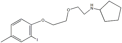 N-cyclopentyl-N-{2-[2-(2-iodo-4-methylphenoxy)ethoxy]ethyl}amine 구조식 이미지