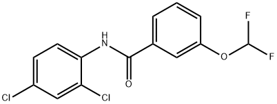 N-(2,4-dichlorophenyl)-3-(difluoromethoxy)benzamide Structure