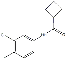 N-(3-chloro-4-methylphenyl)cyclobutanecarboxamide Structure