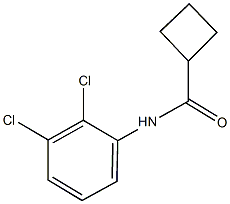 N-(2,3-dichlorophenyl)cyclobutanecarboxamide 구조식 이미지