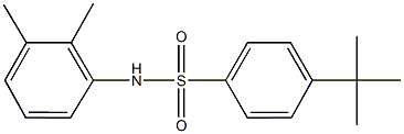 4-tert-butyl-N-(2,3-dimethylphenyl)benzenesulfonamide Structure