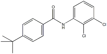 4-tert-butyl-N-(2,3-dichlorophenyl)benzamide 구조식 이미지