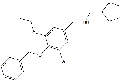 N-[4-(benzyloxy)-3-bromo-5-ethoxybenzyl]-N-(tetrahydro-2-furanylmethyl)amine Structure