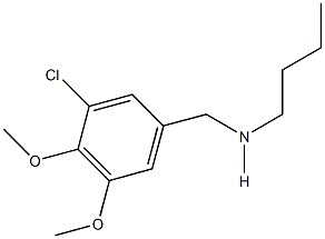 N-butyl-N-(3-chloro-4,5-dimethoxybenzyl)amine Structure