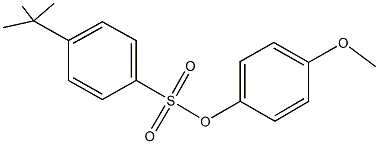 4-methoxyphenyl 4-tert-butylbenzenesulfonate 구조식 이미지