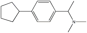 N-[1-(4-cyclopentylphenyl)ethyl]-N,N-dimethylamine Structure