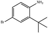 850012-44-1 4-bromo-2-tert-butylphenylamine