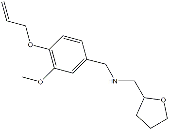 N-[4-(allyloxy)-3-methoxybenzyl]-N-(tetrahydro-2-furanylmethyl)amine 구조식 이미지