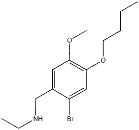 N-(2-bromo-4-butoxy-5-methoxybenzyl)-N-ethylamine Structure