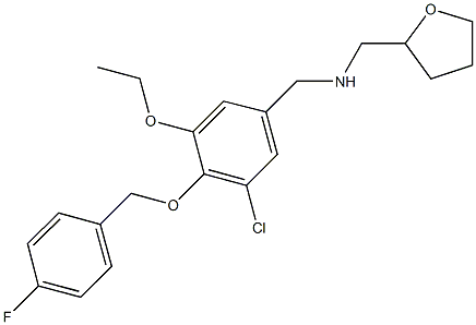 N-{3-chloro-5-ethoxy-4-[(4-fluorobenzyl)oxy]benzyl}-N-(tetrahydro-2-furanylmethyl)amine 구조식 이미지