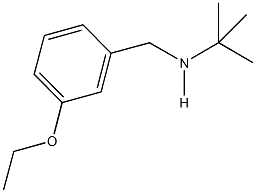 N-(tert-butyl)-N-(3-ethoxybenzyl)amine 구조식 이미지