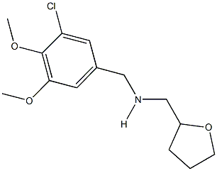 N-(3-chloro-4,5-dimethoxybenzyl)-N-(tetrahydro-2-furanylmethyl)amine Structure