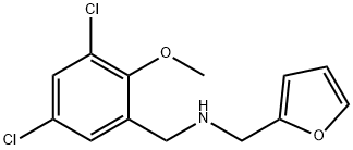 N-(3,5-dichloro-2-methoxybenzyl)-N-(2-furylmethyl)amine 구조식 이미지