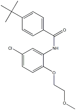 4-tert-butyl-N-[5-chloro-2-(2-methoxyethoxy)phenyl]benzamide 구조식 이미지