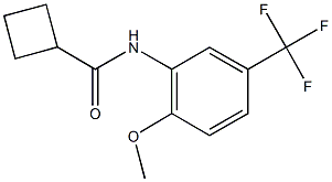 N-[2-methoxy-5-(trifluoromethyl)phenyl]cyclobutanecarboxamide Structure