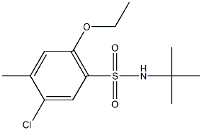 N-(tert-butyl)-5-chloro-2-ethoxy-4-methylbenzenesulfonamide Structure