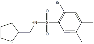 2-bromo-4,5-dimethyl-N-(tetrahydro-2-furanylmethyl)benzenesulfonamide 구조식 이미지