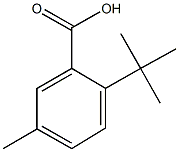 2-tert-butyl-5-methylbenzoic acid Structure
