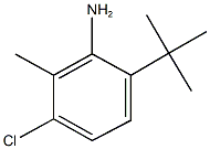 6-tert-butyl-3-chloro-2-methylphenylamine Structure