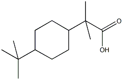 2-(4-tert-butylcyclohexyl)-2-methylpropanoic acid Structure