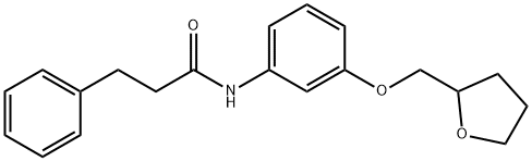 3-phenyl-N-[3-(tetrahydro-2-furanylmethoxy)phenyl]propanamide 구조식 이미지