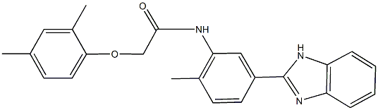 N-[5-(1H-benzimidazol-2-yl)-2-methylphenyl]-2-(2,4-dimethylphenoxy)acetamide Structure