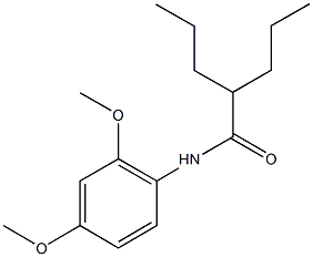N-(2,4-dimethoxyphenyl)-2-propylpentanamide 구조식 이미지