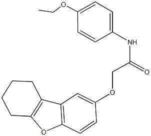 N-(4-ethoxyphenyl)-2-(6,7,8,9-tetrahydrodibenzo[b,d]furan-2-yloxy)acetamide Structure