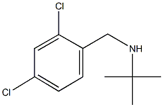 N-(tert-butyl)-N-(2,4-dichlorobenzyl)amine 구조식 이미지