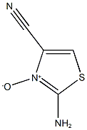 2-amino-1,3-thiazole-4-carbonitrile 3-oxide Structure