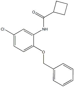 N-[2-(benzyloxy)-5-chlorophenyl]cyclobutanecarboxamide 구조식 이미지