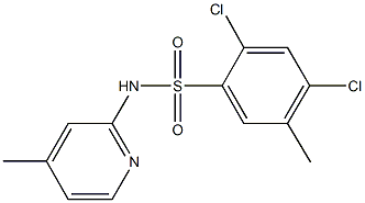 2,4-dichloro-5-methyl-N-(4-methylpyridin-2-yl)benzenesulfonamide Structure