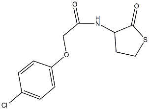 2-(4-chlorophenoxy)-N-(2-oxotetrahydro-3-thienyl)acetamide Structure