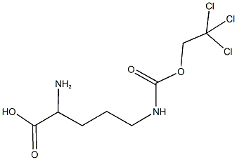 N~5~-[(2,2,2-trichloroethoxy)carbonyl]ornithine Structure